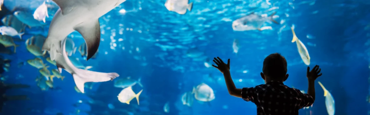 Vienna’s Zoos and Aquariums: A Guide for Families