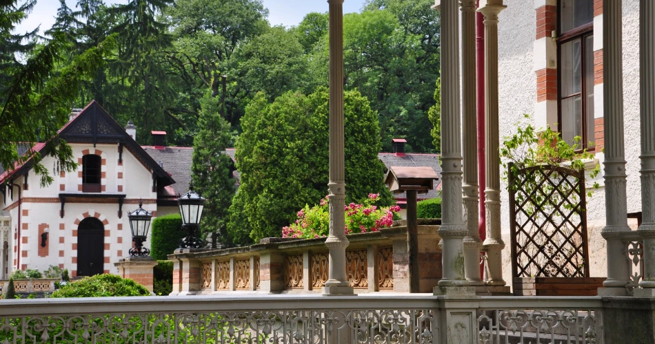 莱因泽动物园的动物邂逅