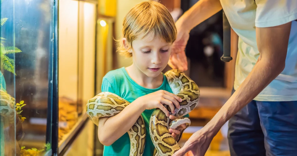 莱因泽动物园的动物邂逅