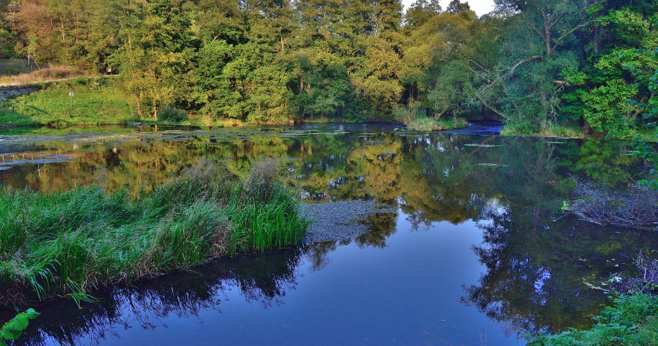 Pelarian Tepi Tasik Musim Panas Dekat Vienna